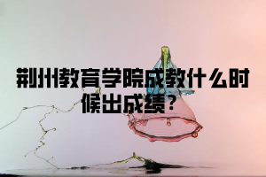 荆州教育学院成教什么时候出成绩？